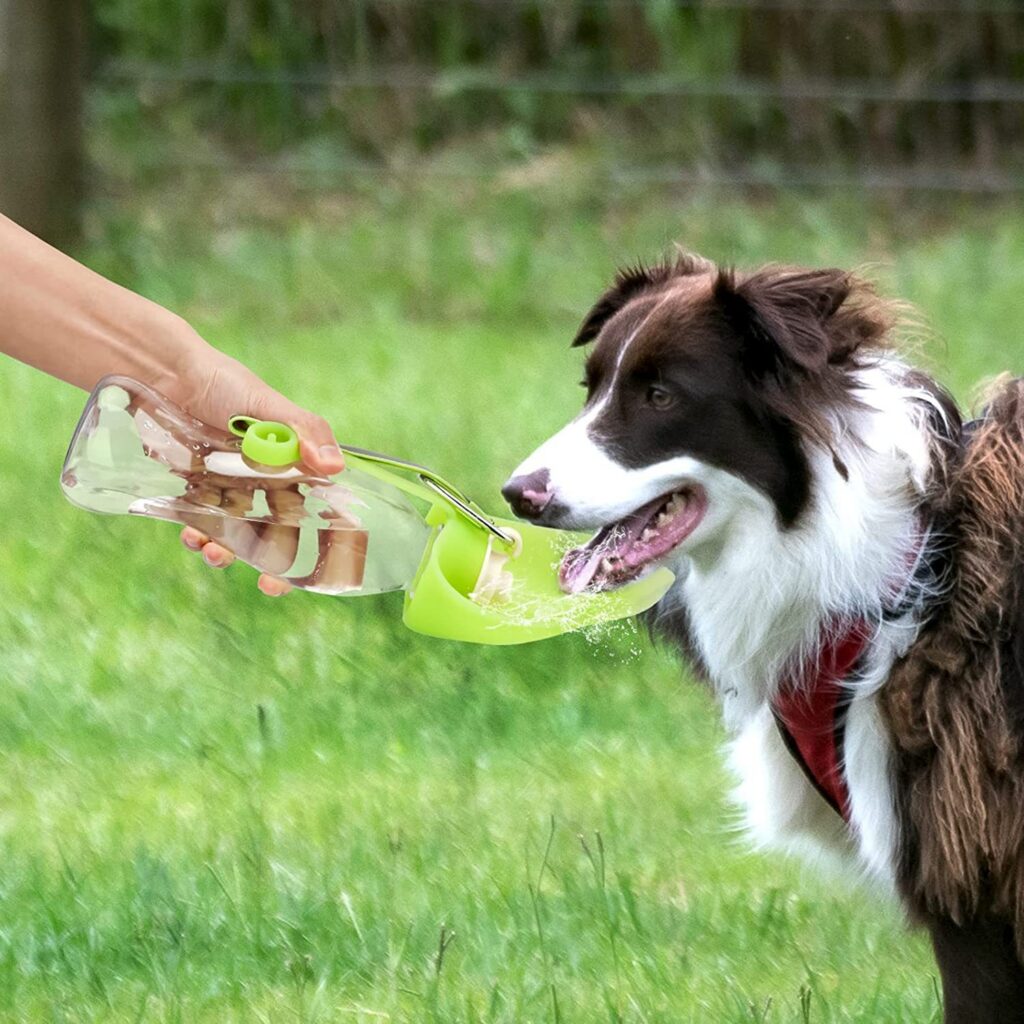 Leak-Proof Portable Pet Water Bottle