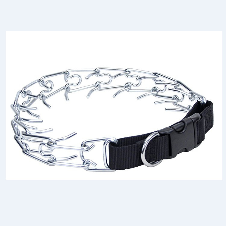 Training Dog Collar and Leash Set