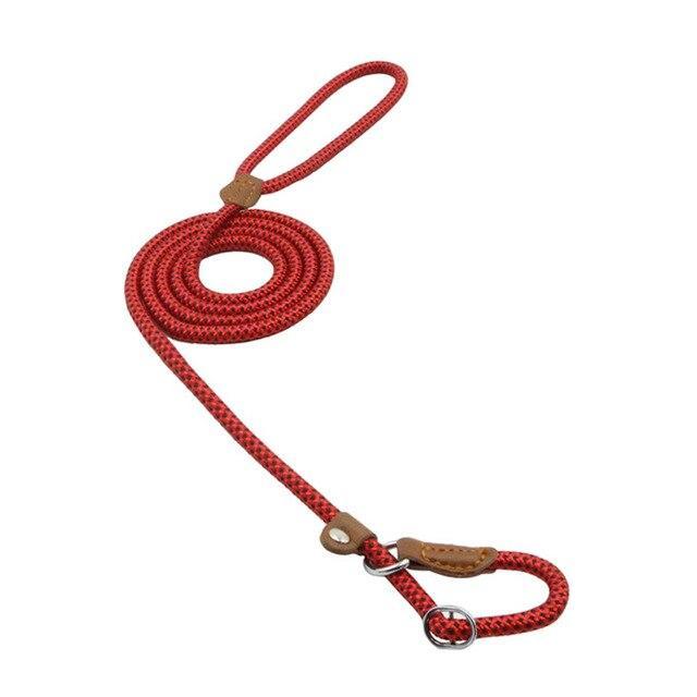 Sturdy Nylon P-Type Dog Leash