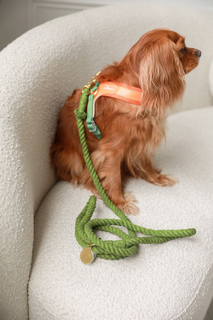Trail Leads