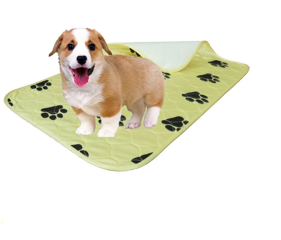 Cushioned Kennel Pet Bed Pad