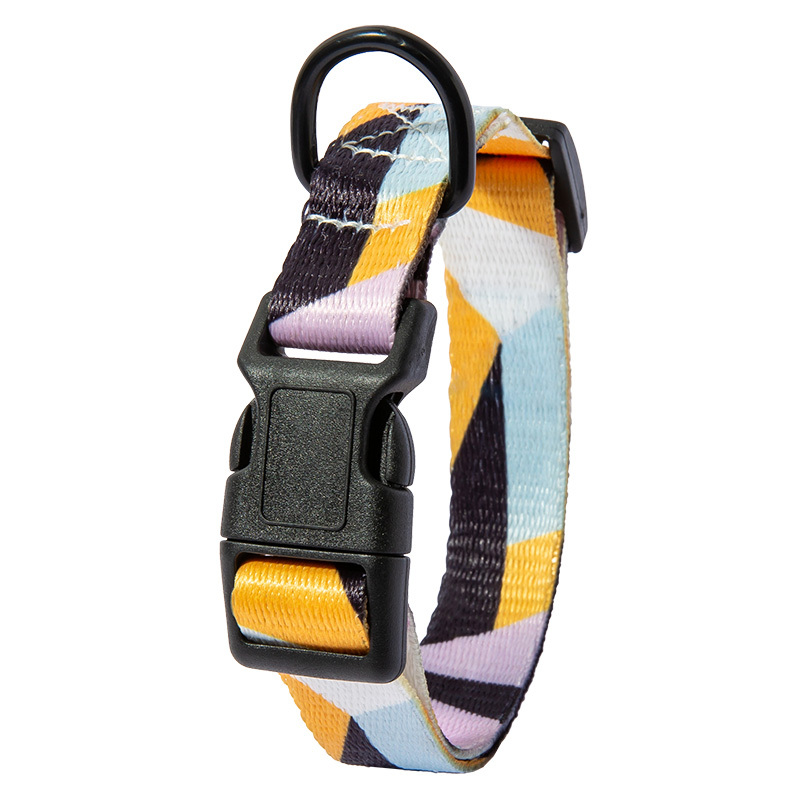 Adjustable Dog Collar and Leash Set - Image 4