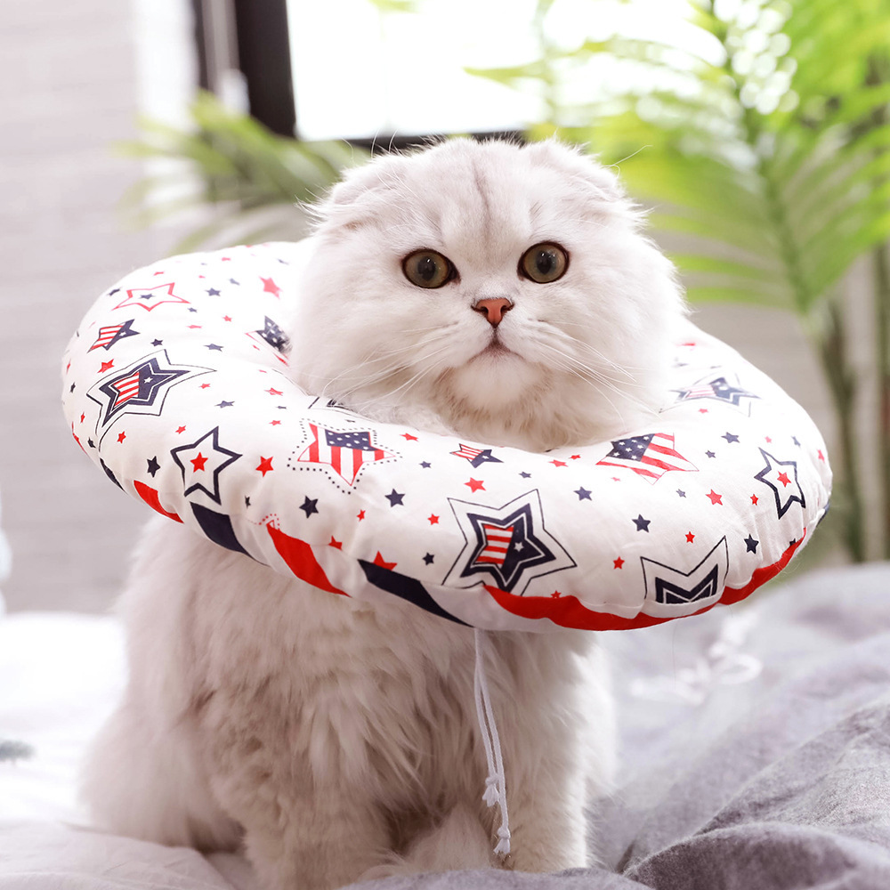 Cat Anti-Bite Play Ring Toy