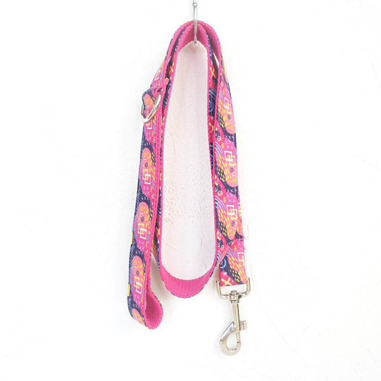 Dog Training Walking Leash