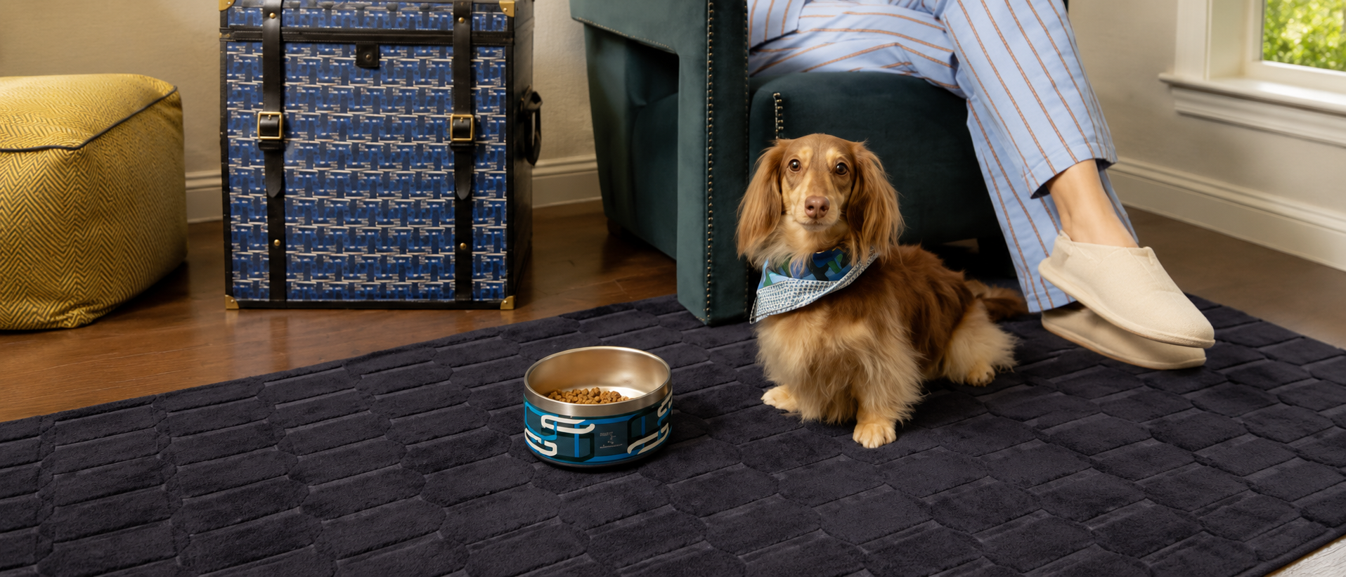 Pet outdoor essentials