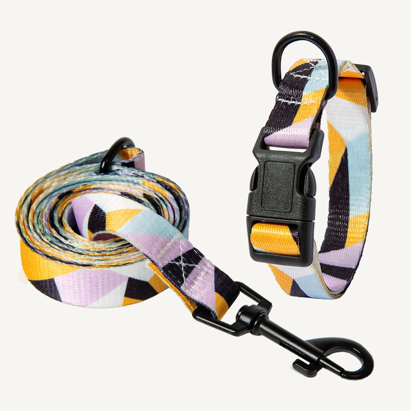 Adjustable Dog Collar and Leash Set - Image 10
