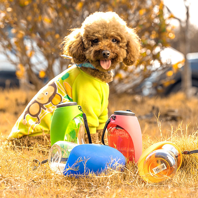 Leak-Proof Portable Pet Water Bottle