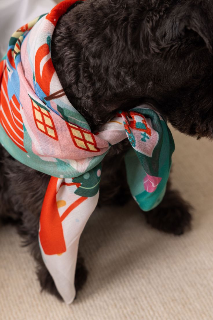 Cozy Knits pet collection