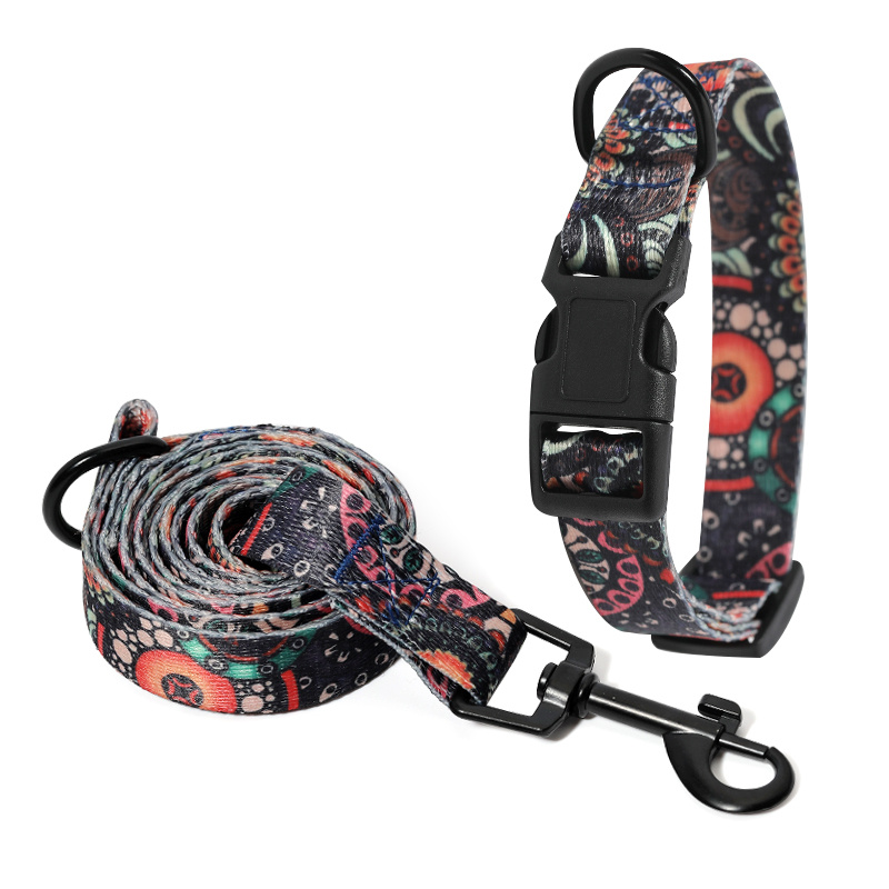 Adjustable Dog Collar and Leash Set - Image 8