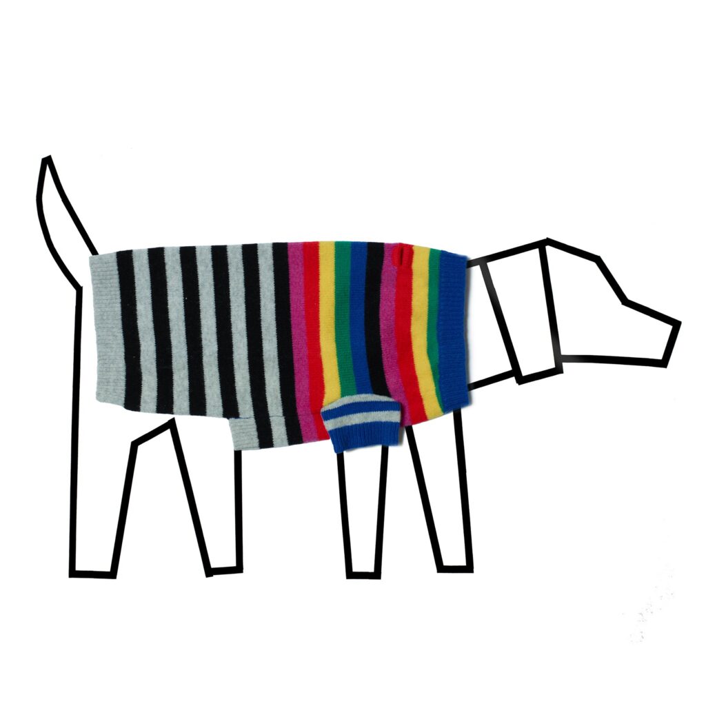 Mixed Stripe Knit Sweater for Dogs