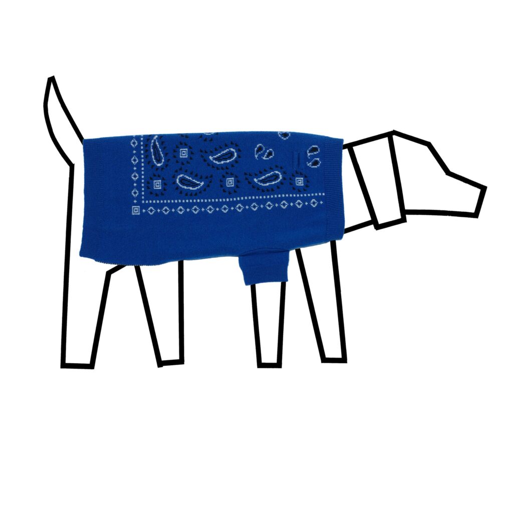 Royal Blue Black and White Bandana Print Sweater