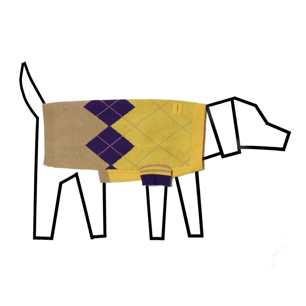 Yellow and Purple Argyle Sweater for Dogs