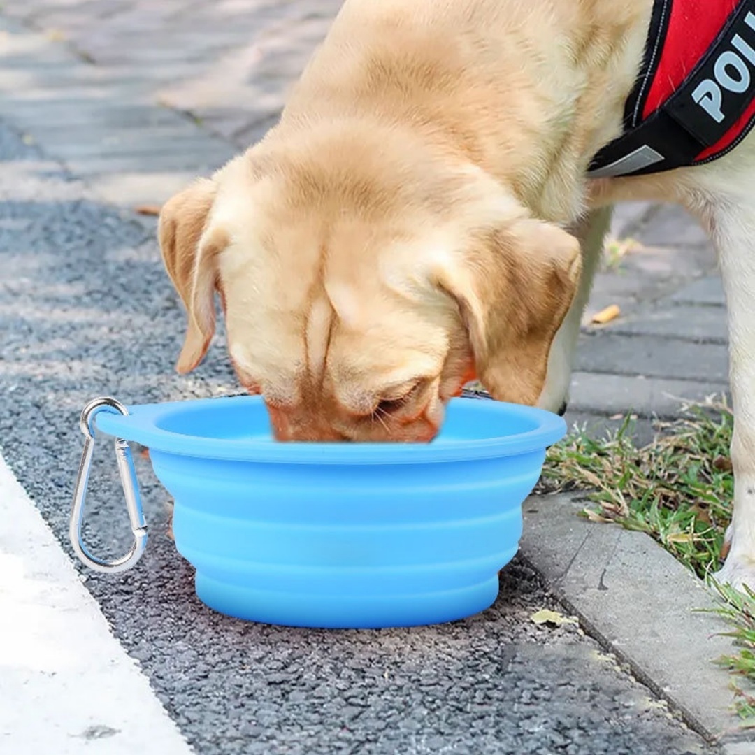 Collapsible Silicone Pet Travel Bowl