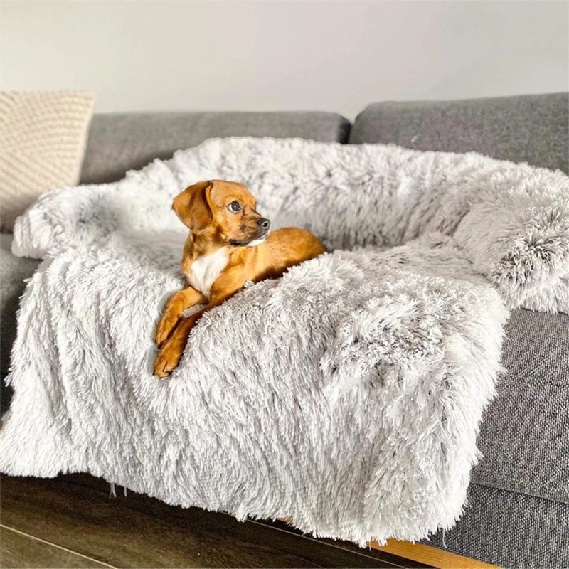 Soft Everyday Dog Bed