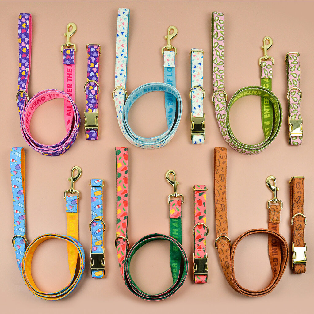 Heavy Industry Double-Sided Pet Cat Dog Collar Haulage Rope Package