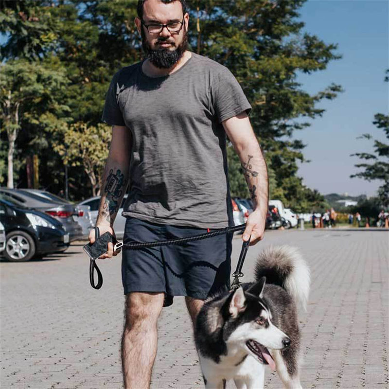 Adjustable Bungee Dog Leash with Seatbelt Clip - Image 2