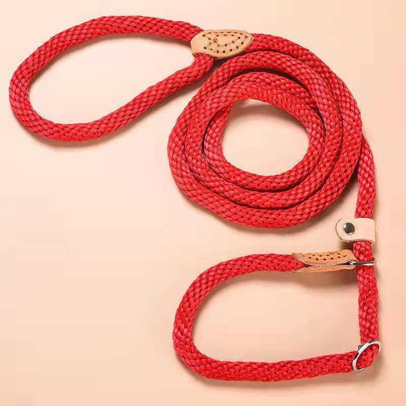 Adjustable Dog Collar and Leash Set