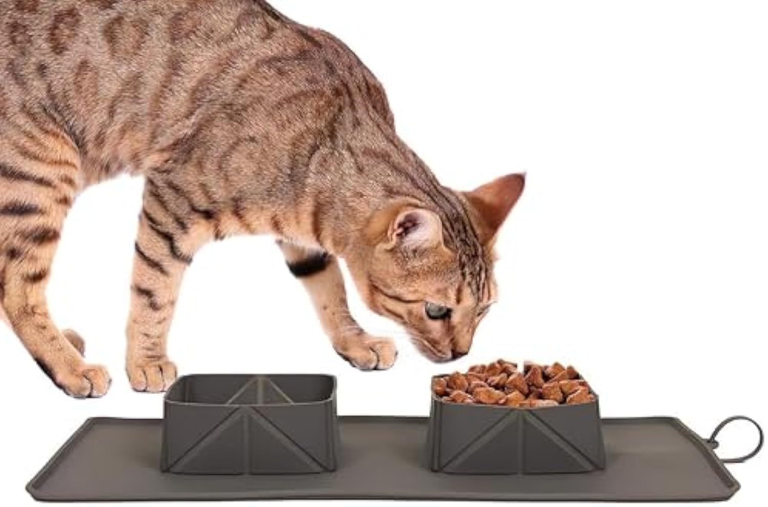 Collapsible Silicone Pet Travel Bowl - Image 6