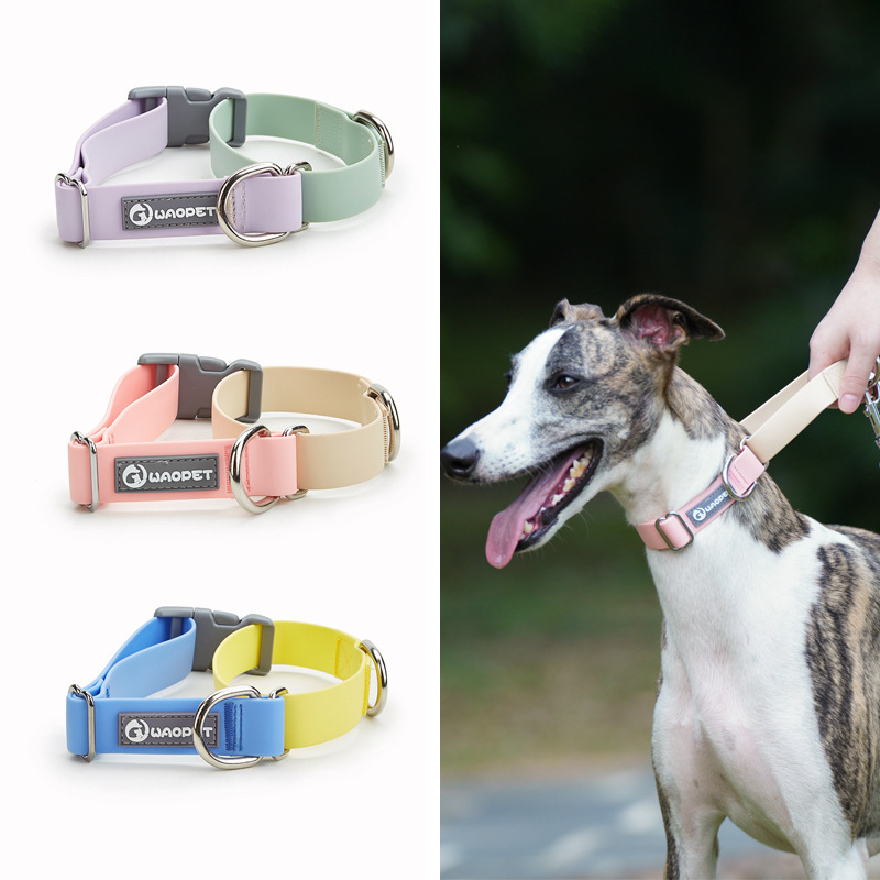 Waterproof Dog Collar and Leash Set