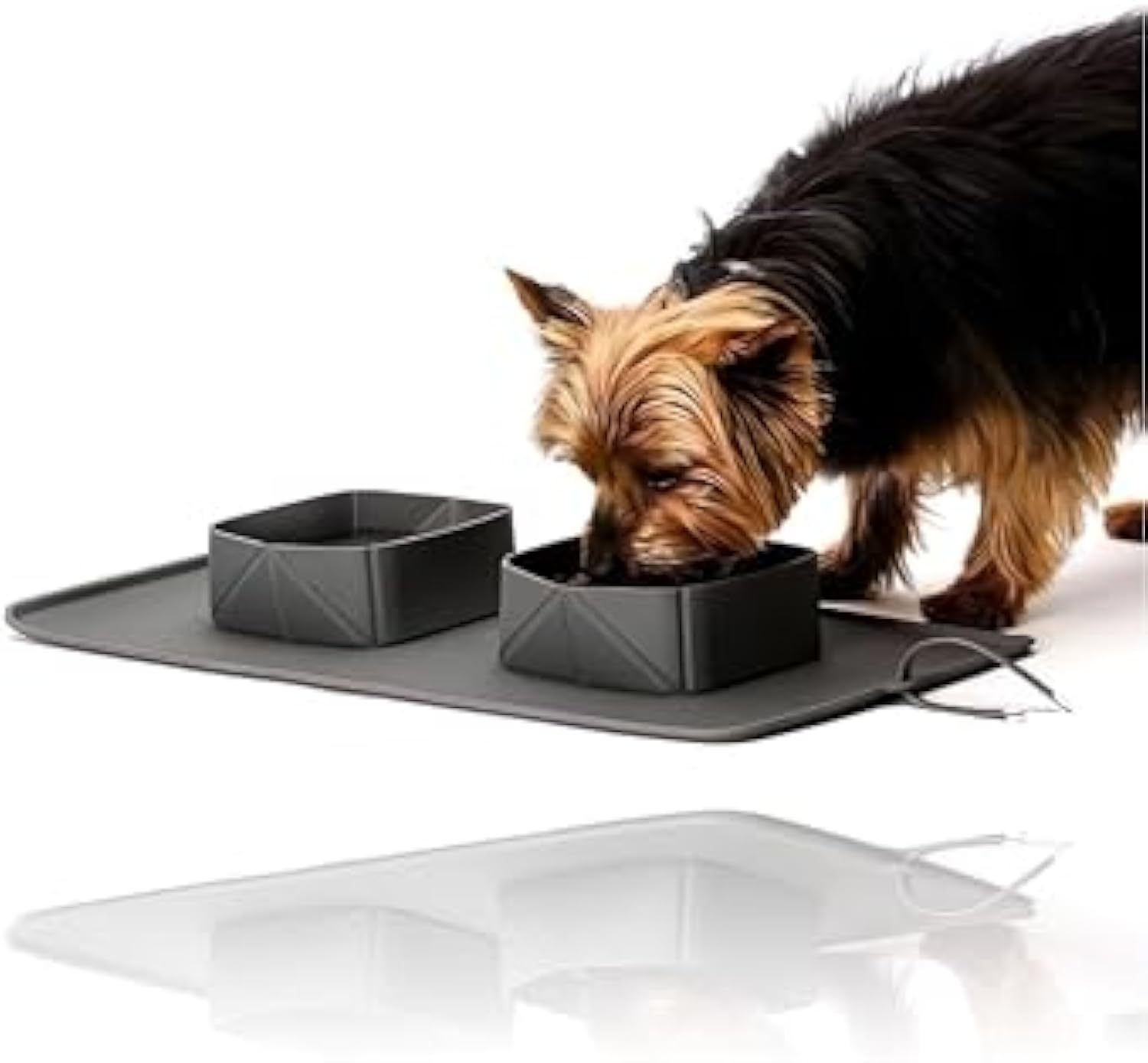 Collapsible Silicone Pet Travel Bowl - Image 3