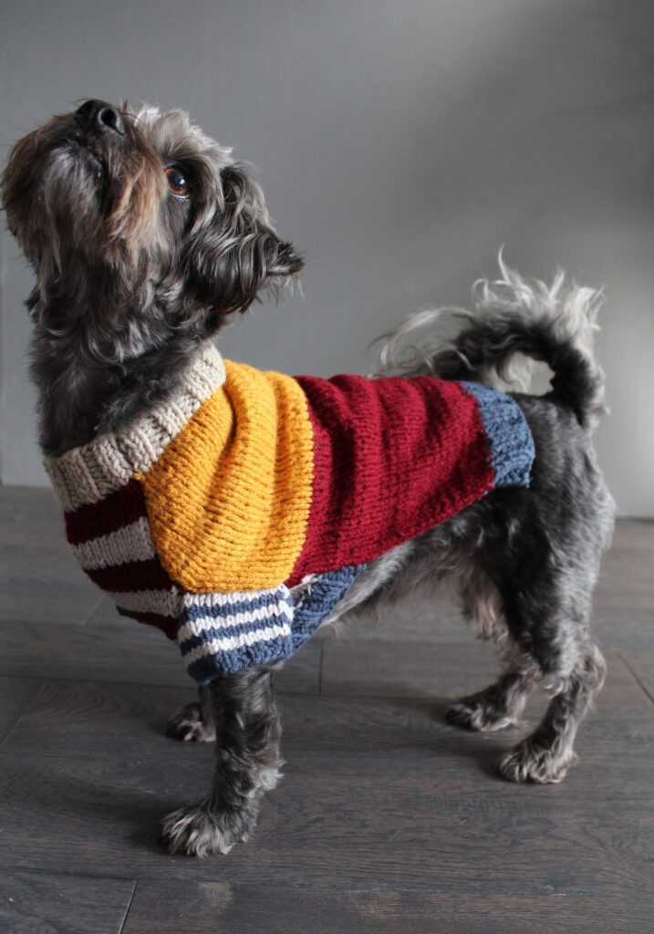 Colorful Knit Dog Sweater