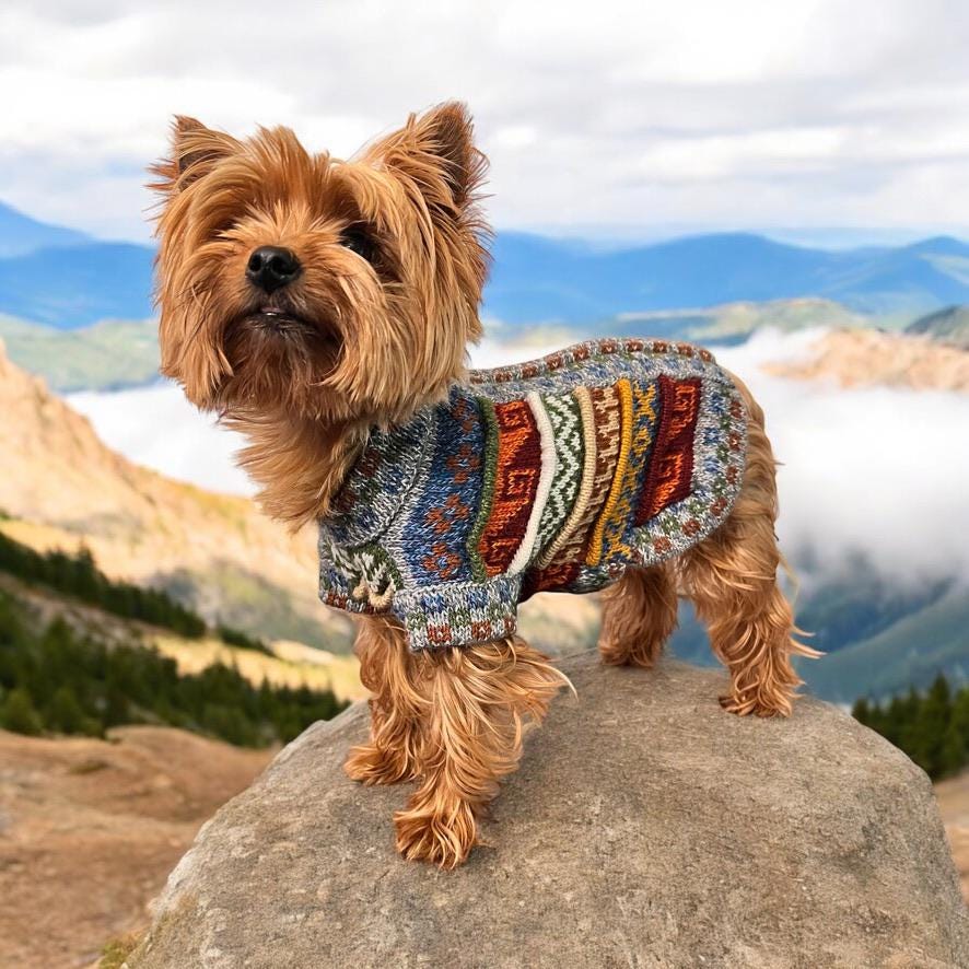 Alpaca Dog Sweater