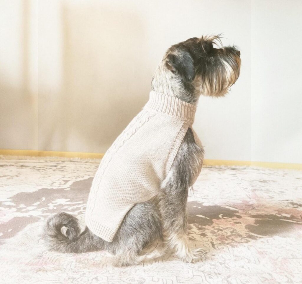 Medium Wool Dog Sweater