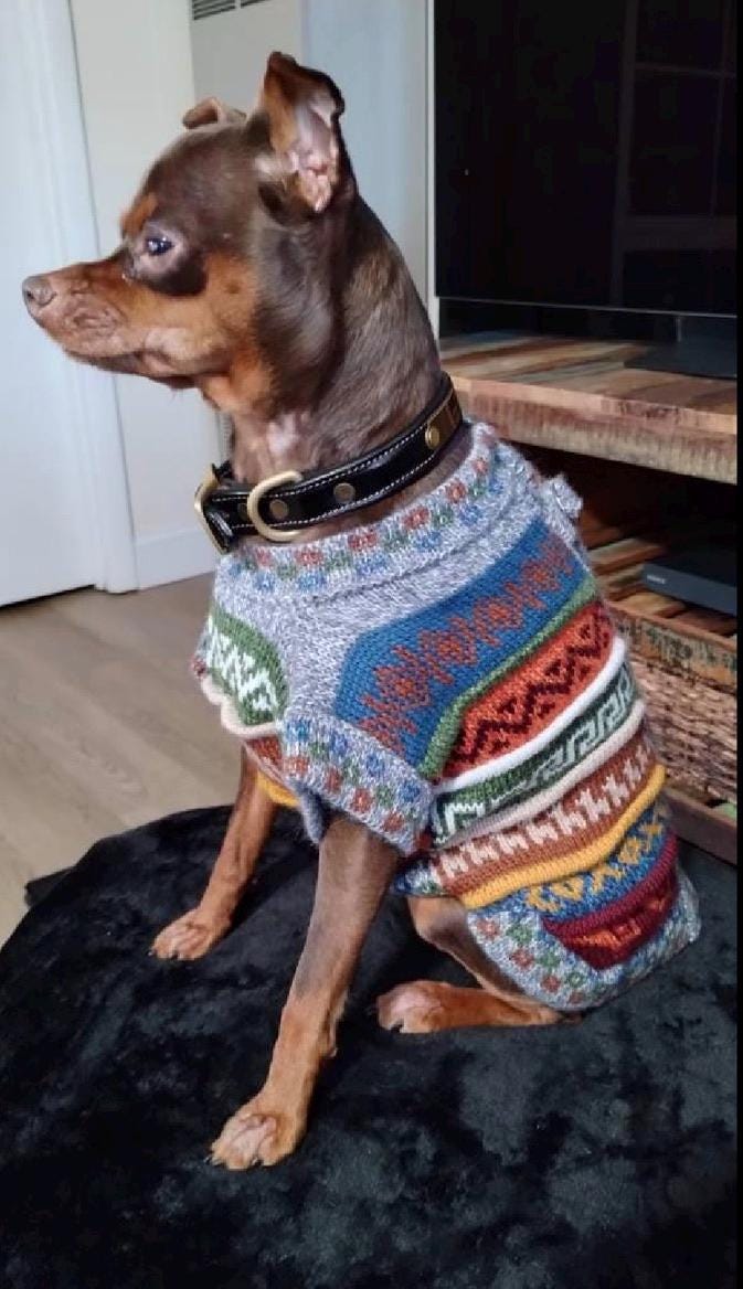Alpaca Dog Sweater - Image 11