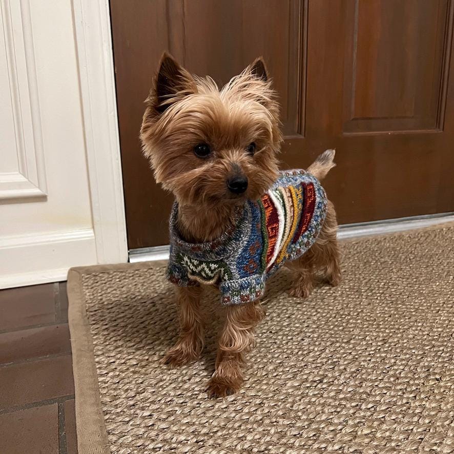 Alpaca Dog Sweater - Image 12