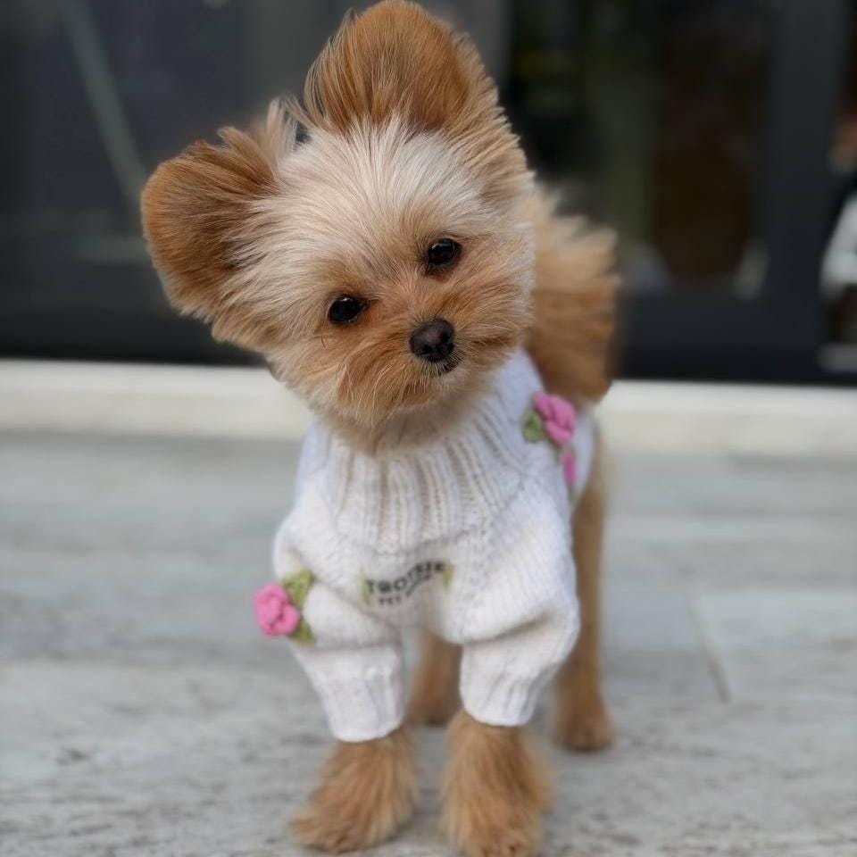 Milky Knit Dog Sweater With Pink 3D Roses And Wool